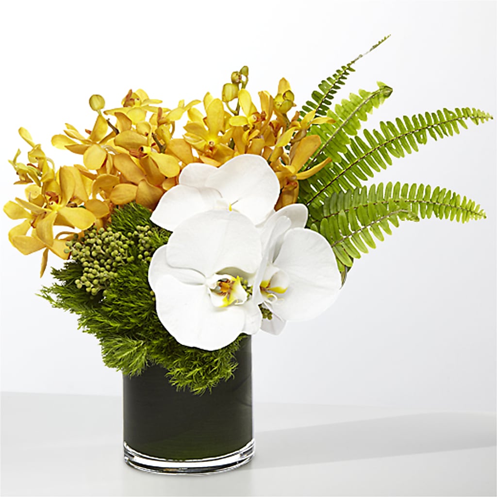The Tropics – ELOUISE'S HOUSE OF FLOWERS AND GIFTS LLC, Winfield MO